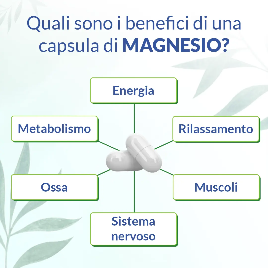 Magnesio