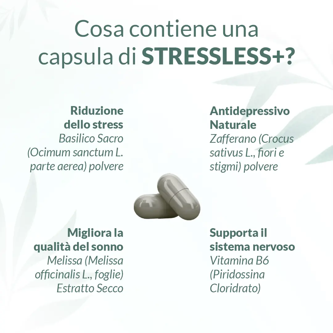 Stressless+