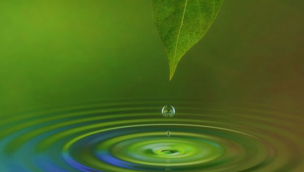Naturopatia - consulenze